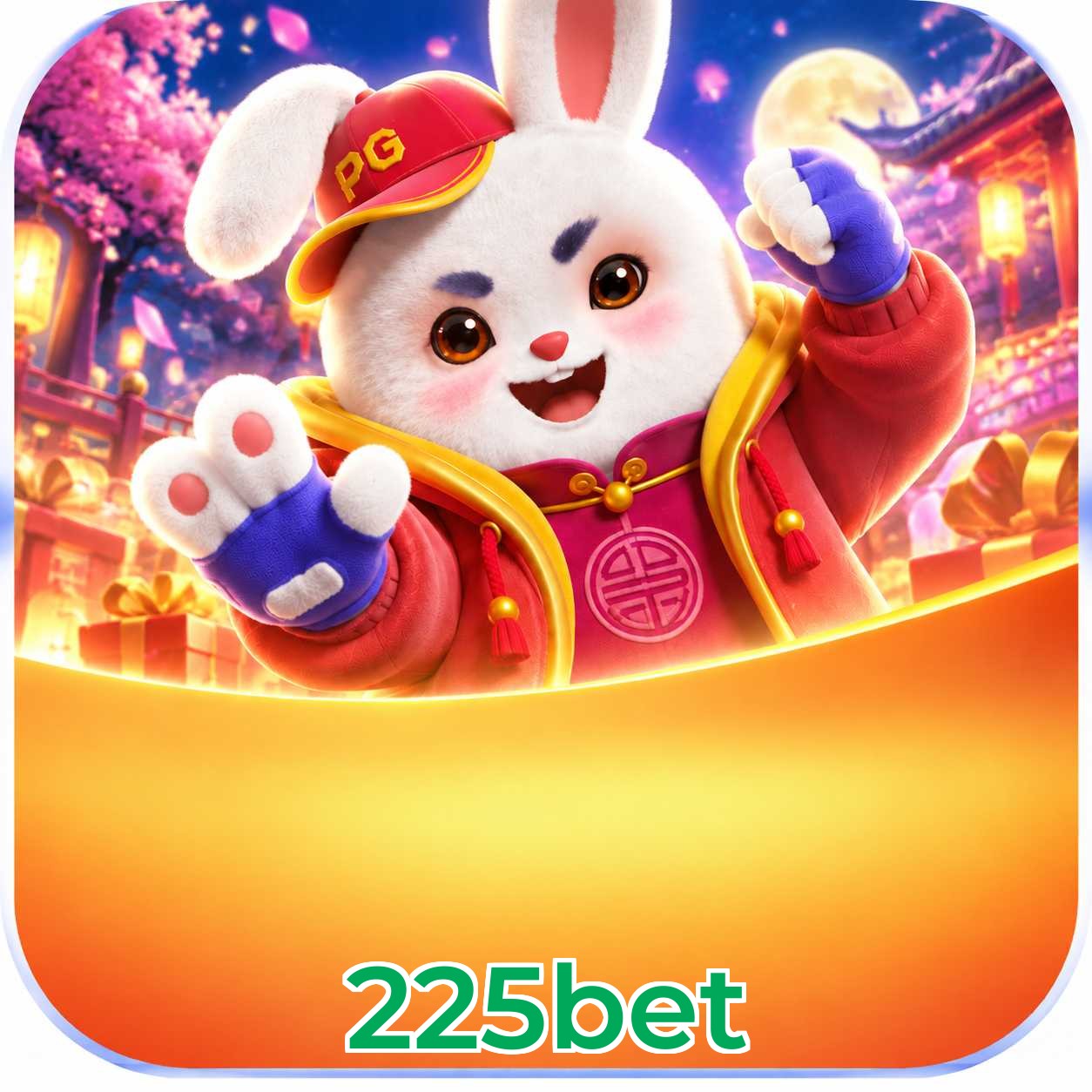 225bet Interface